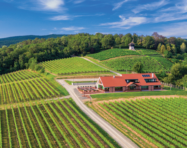 Slavonska kuća Vinkomir